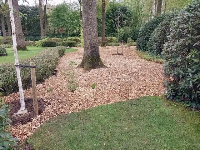 Tuinaanleg-met-boomschors-houtsnippers-paadje-2-1067x800