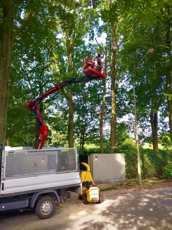 boomverzorger waregem